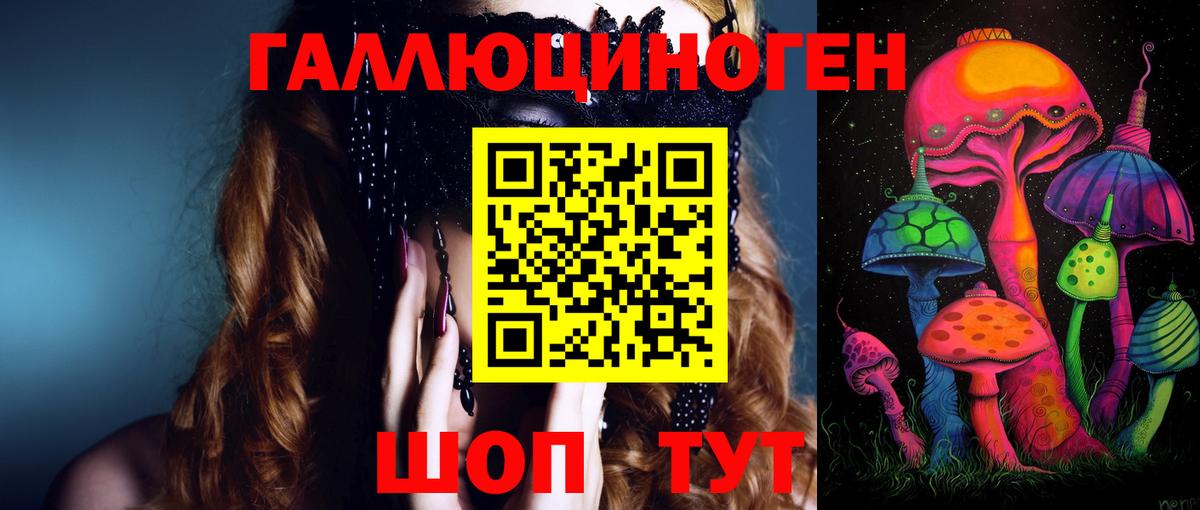 Нерюнгри  Галлюциногенные грибы Magic Shrooms  Вход с VPN 